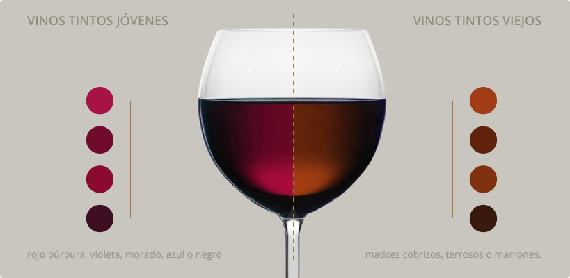 degustacion_vinos_tintos_es