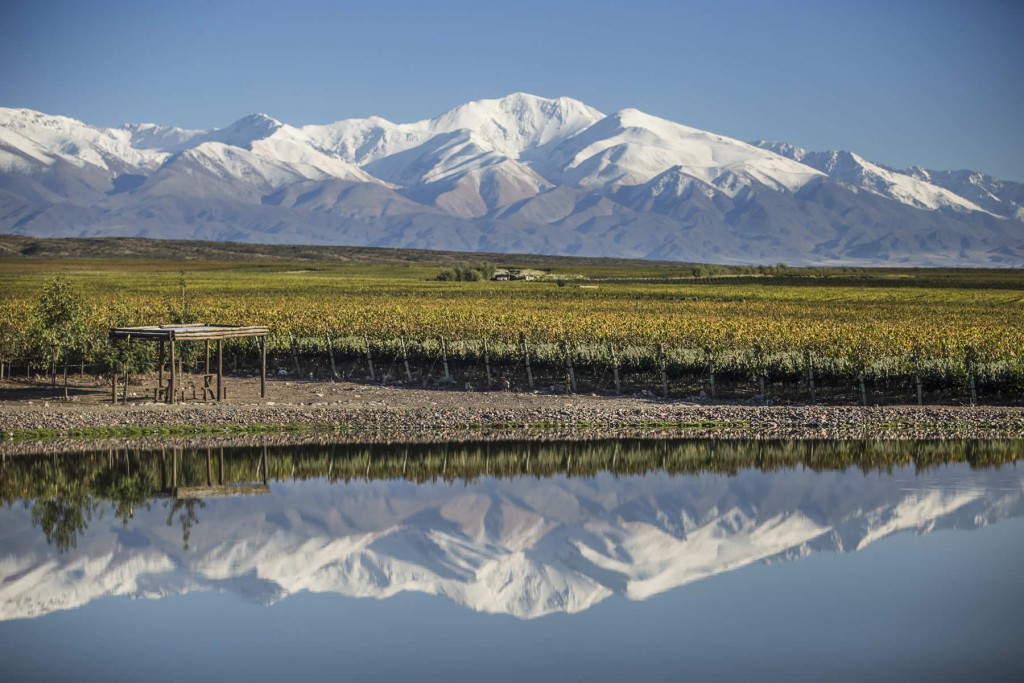 Harvest Report 2022 Doña Paula